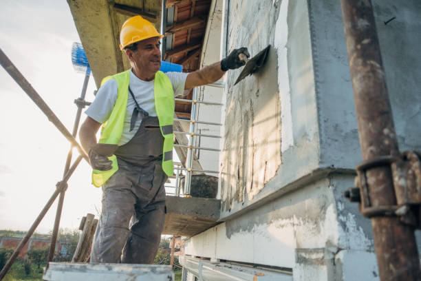Best Insulation Contractor Near Me  in Homer Glen, IL